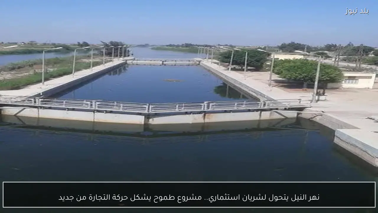 نهر النيل يتحول لشريان استثماري.. مشروع طموح يشكل حركة التجارة من جديد