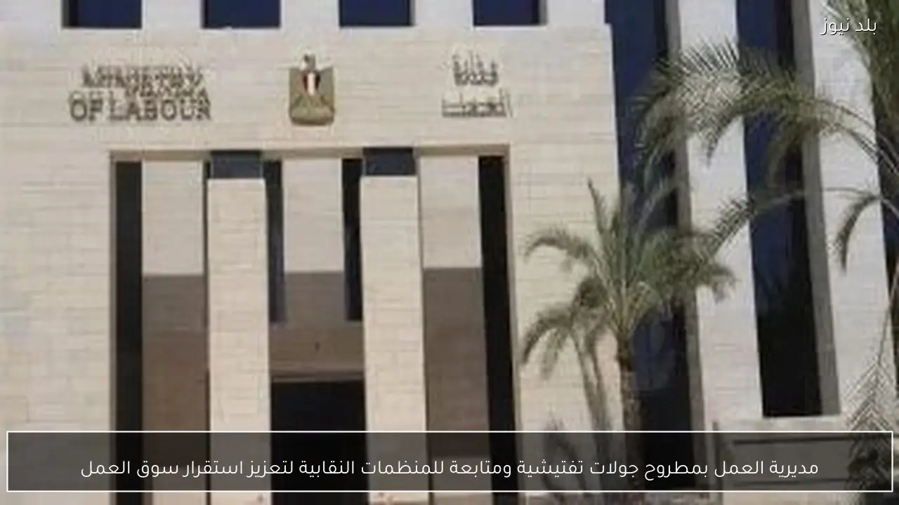 مديرية العمل بمطروح جولات تفتيشية ومتابعة للمنظمات النقابية لتعزيز استقرار سوق العمل