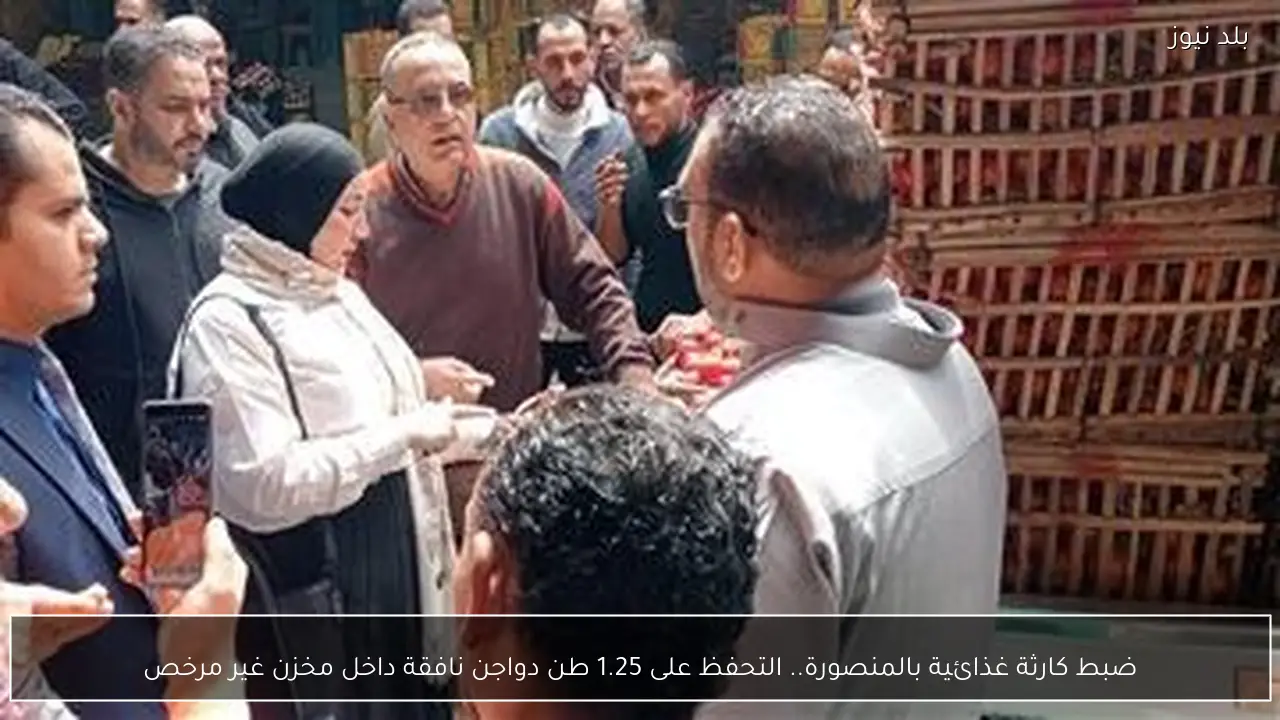 ضبط كارثة غذائية بالمنصورة.. التحفظ على 1.25 طن دواجن نافقة داخل مخزن غير مرخص