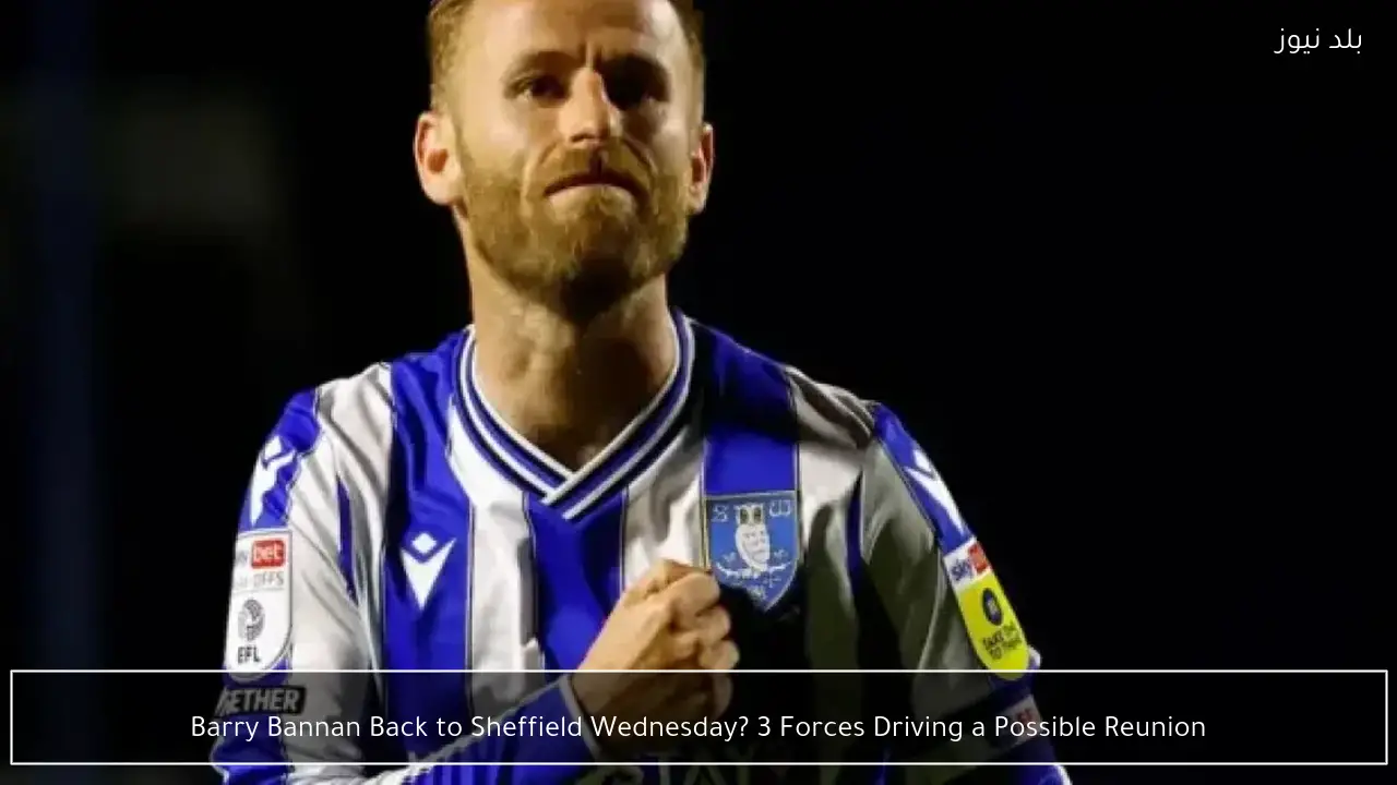 Barry Bannan Back to Sheffield Wednesday? 3 Forces Driving a Possible Reunion