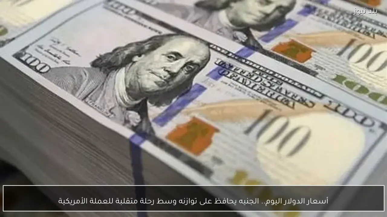 أسعار الدولار اليوم.. الجنيه يحافظ على توازنه وسط رحلة متقلبة للعملة الأمريكية