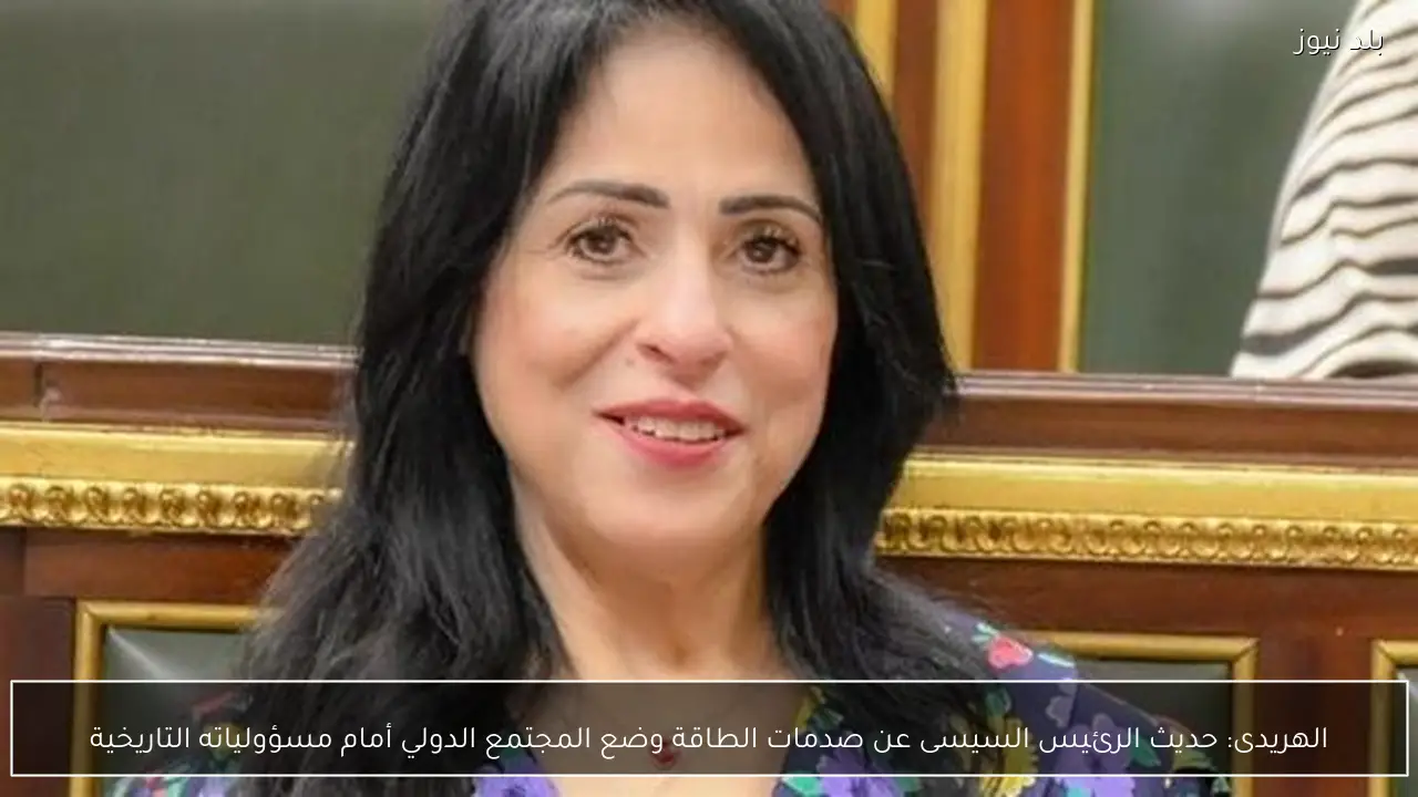 الهريدى: حديث الرئيس السيسى عن صدمات الطاقة وضع المجتمع الدولي أمام مسؤولياته التاريخية