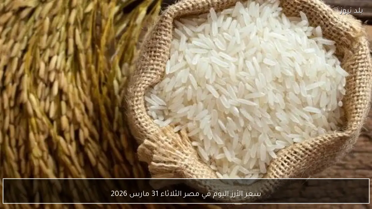 سعر الأرز اليوم في مصر الثلاثاء 31 مارس 2026
